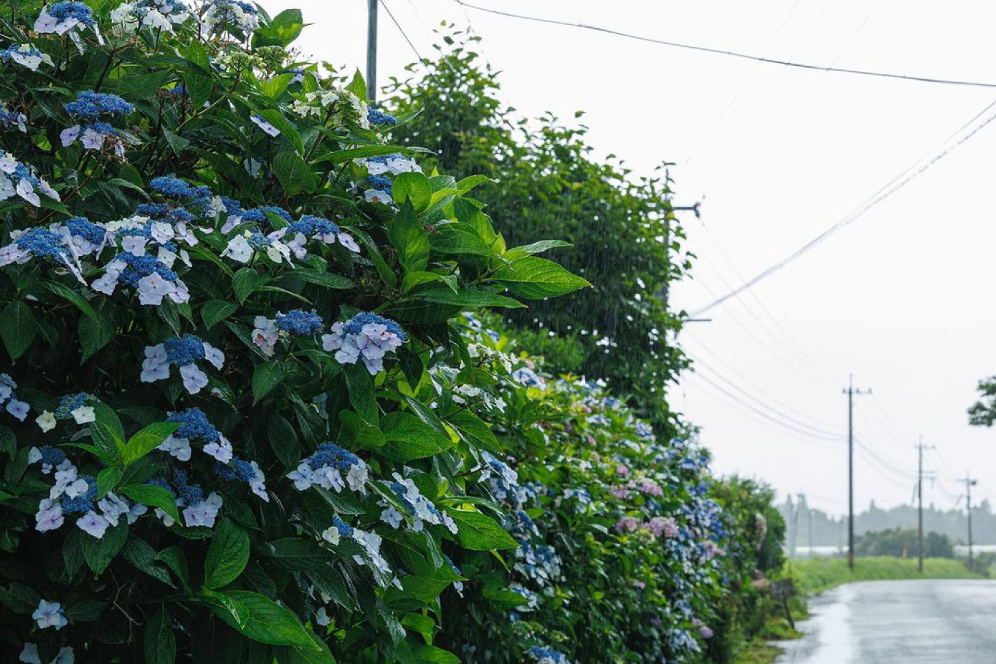 熊本県