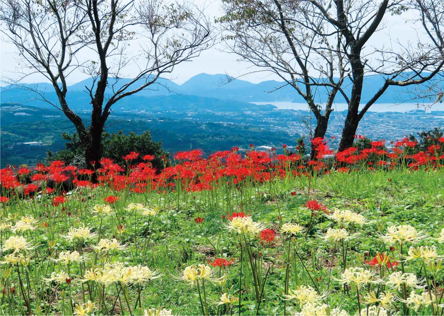 鉢巻山