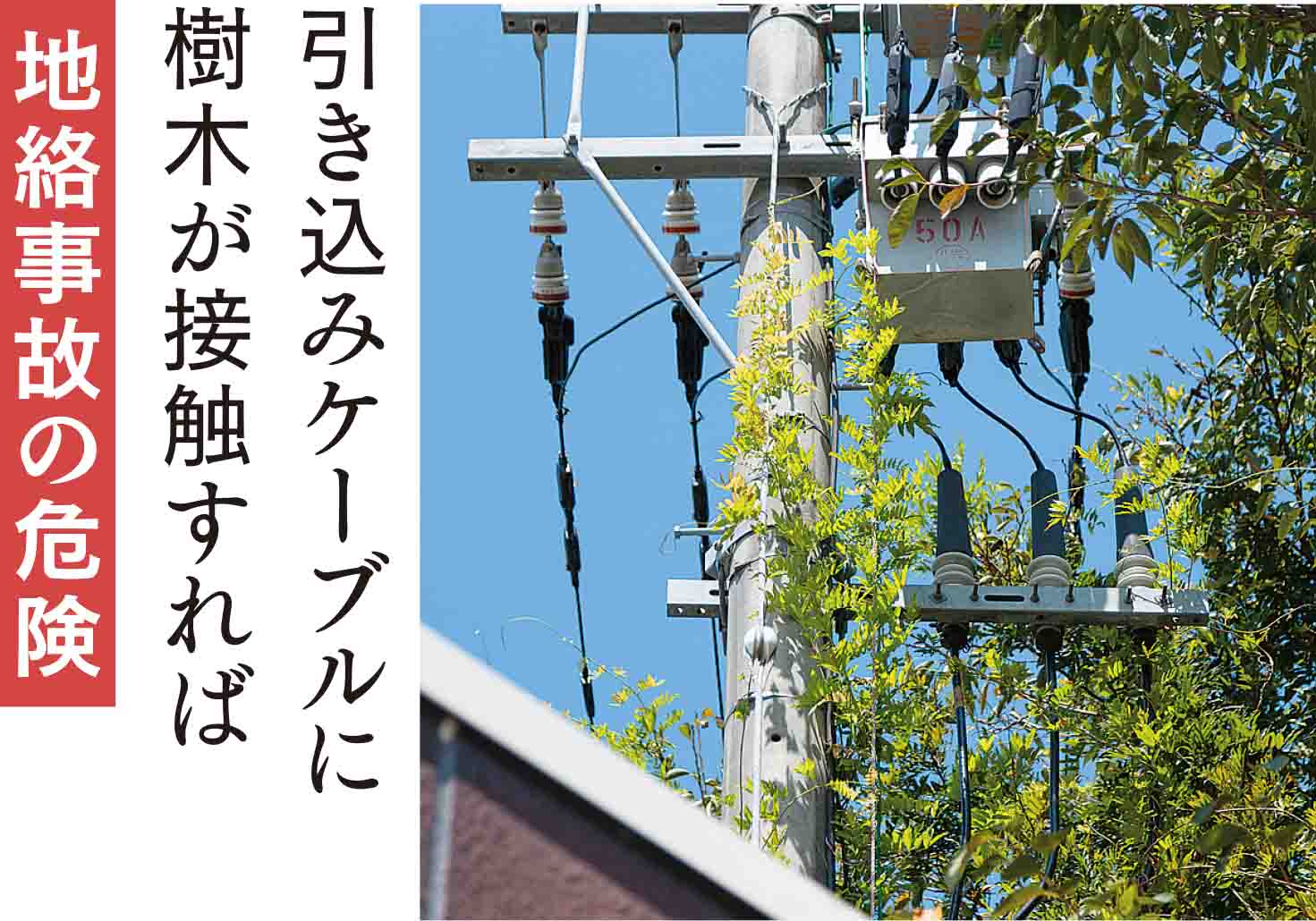 架空引込線に樹木が接触