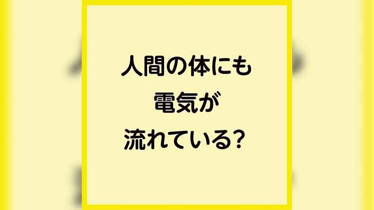 人間の体にも電気が流れている?