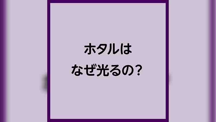 ホタルはなぜ光るの？