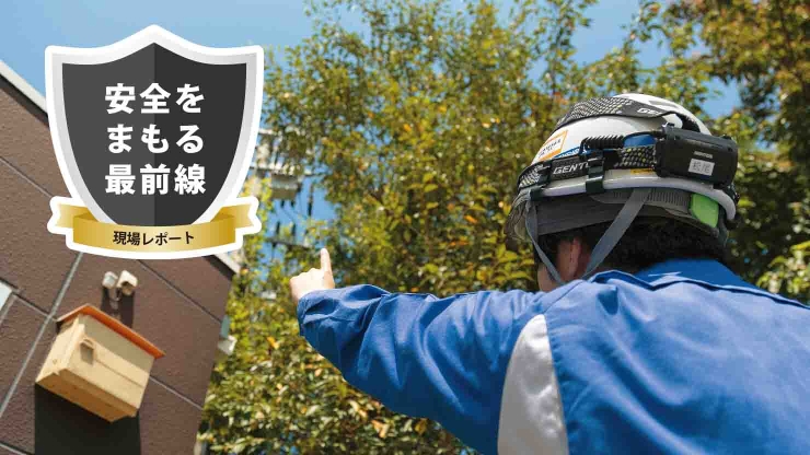 高圧受電設備周辺の植生管理